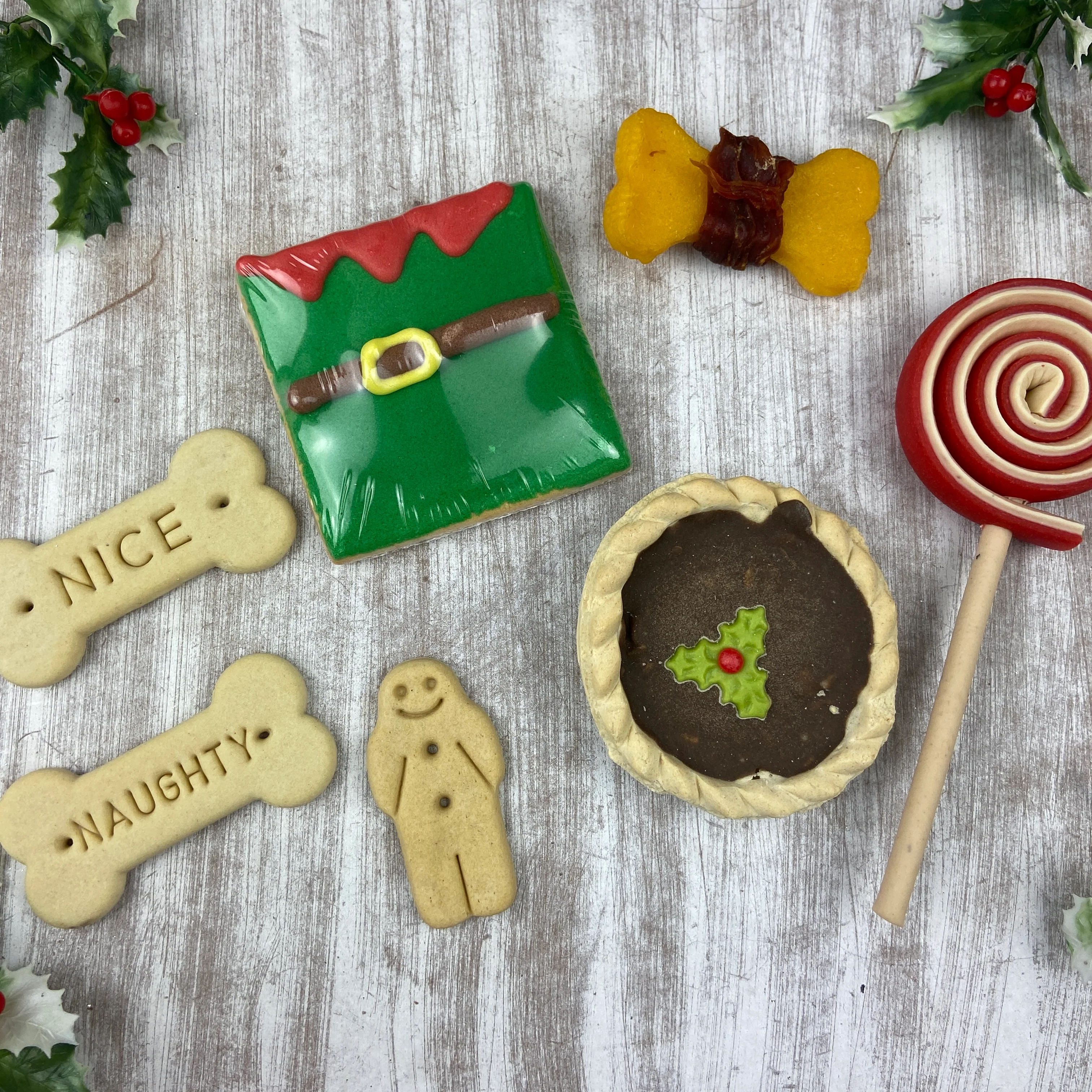 Christmas Dog Treats - Special Delivery From Santa Paws! - Image 7