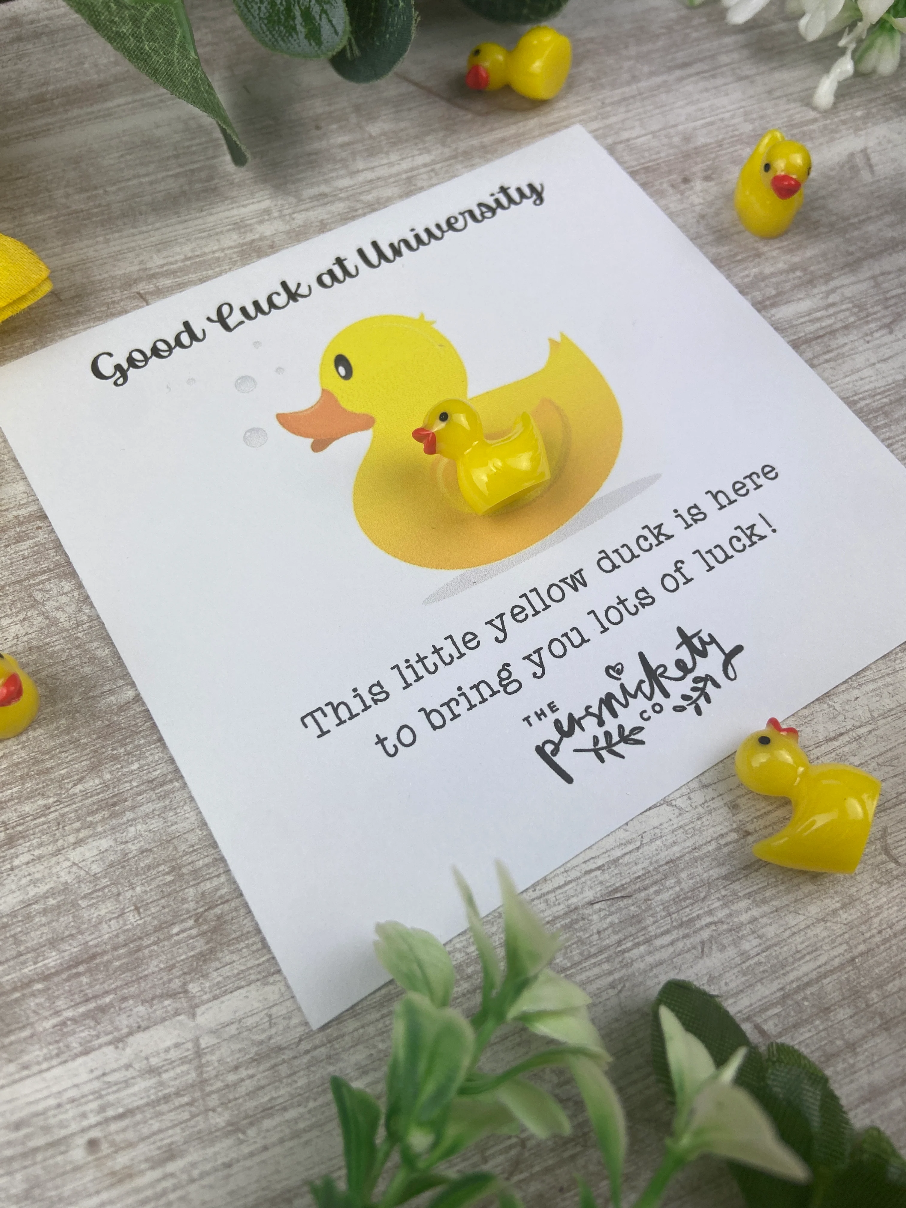 Good Luck At University Duck! - Image 4