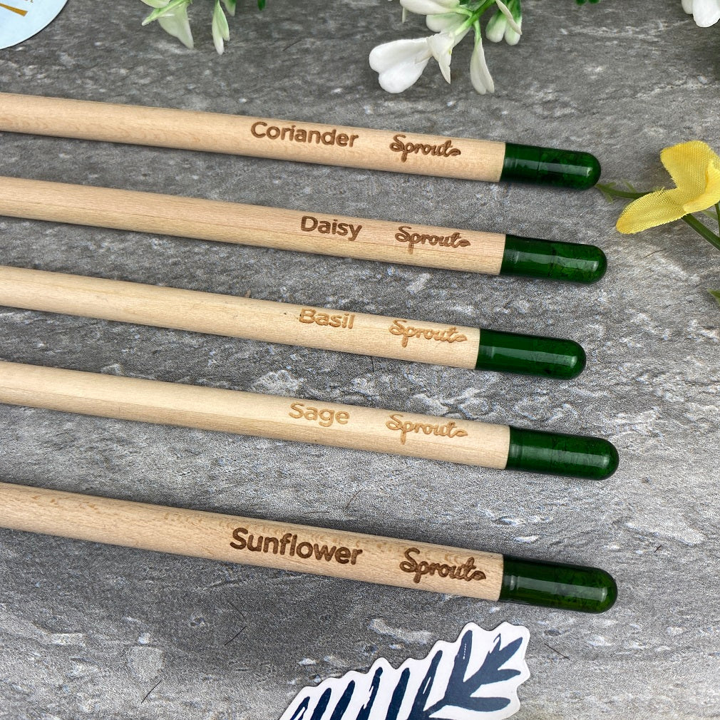 Happy Father's Day Gift - Sprout Pencil - Image 2