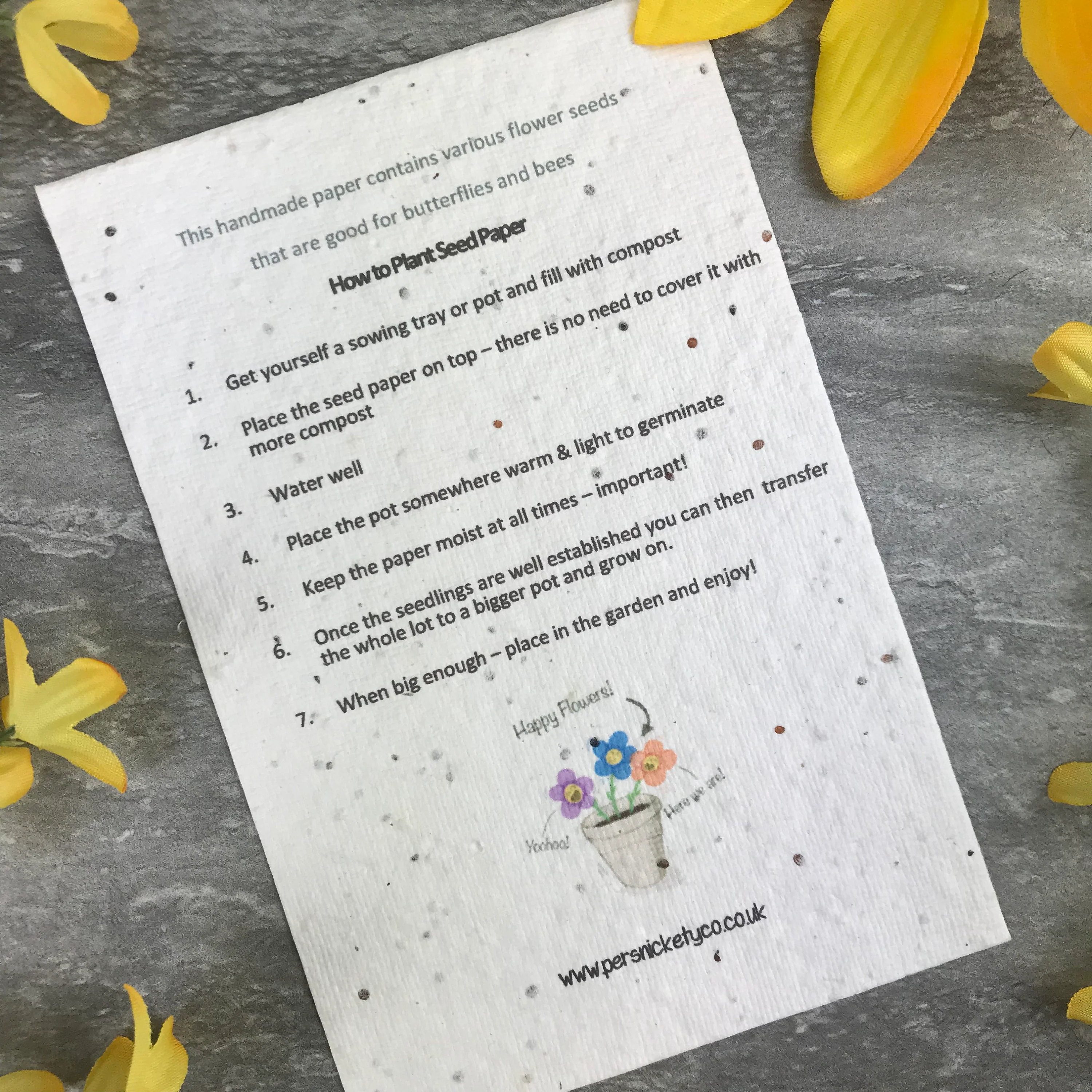I Couldn't Have Picked A Better Teacher With Plantable Wildflower Seed Card Backing - Image 2