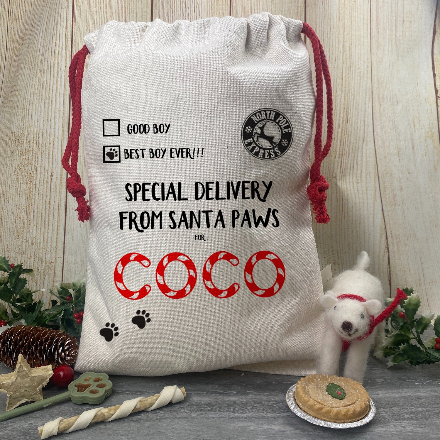Personalised Dog Santa Sack - Special Delivery - Image 6