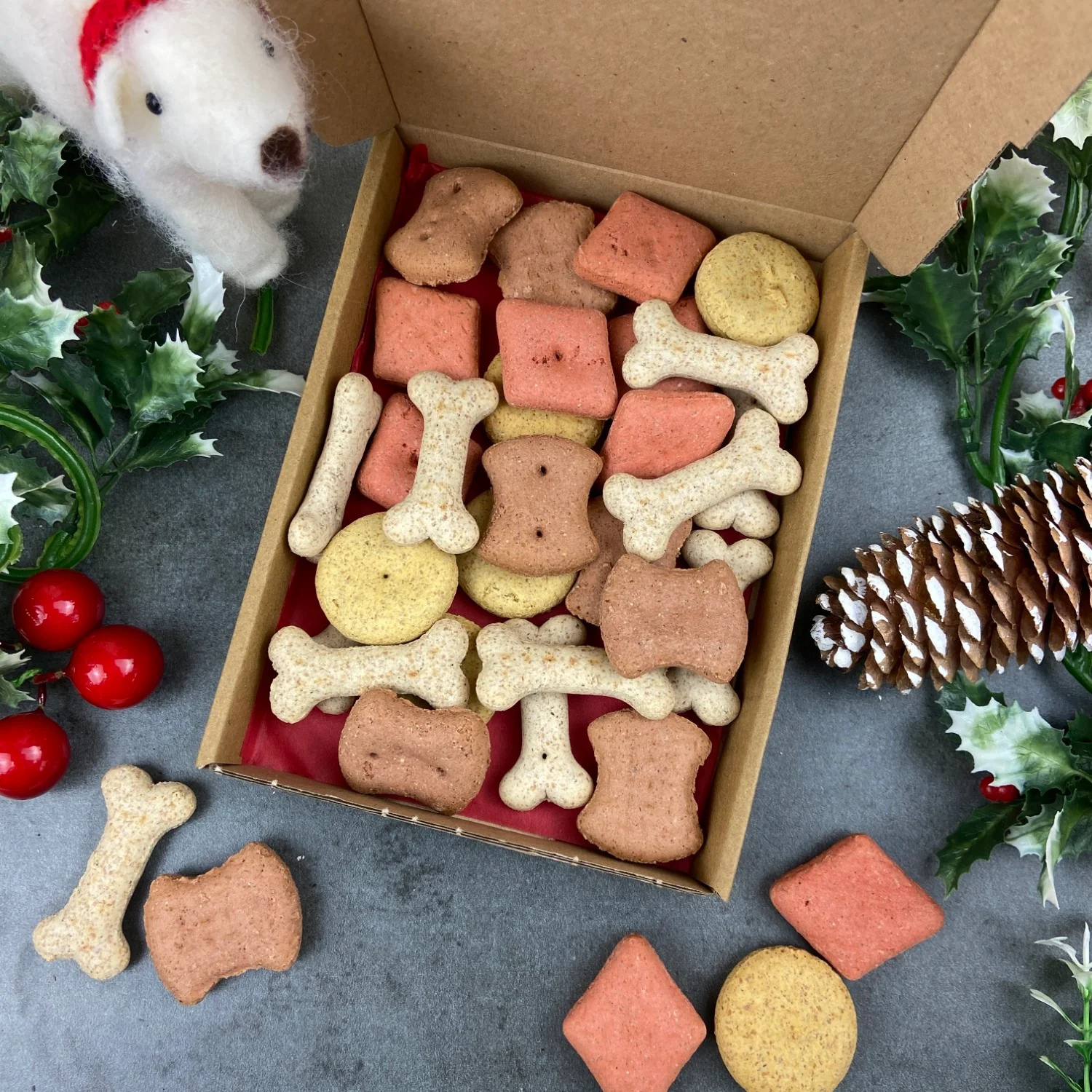 Personalised Little Dog Treat Box - '… Believes In Santa Paws' - Image 4