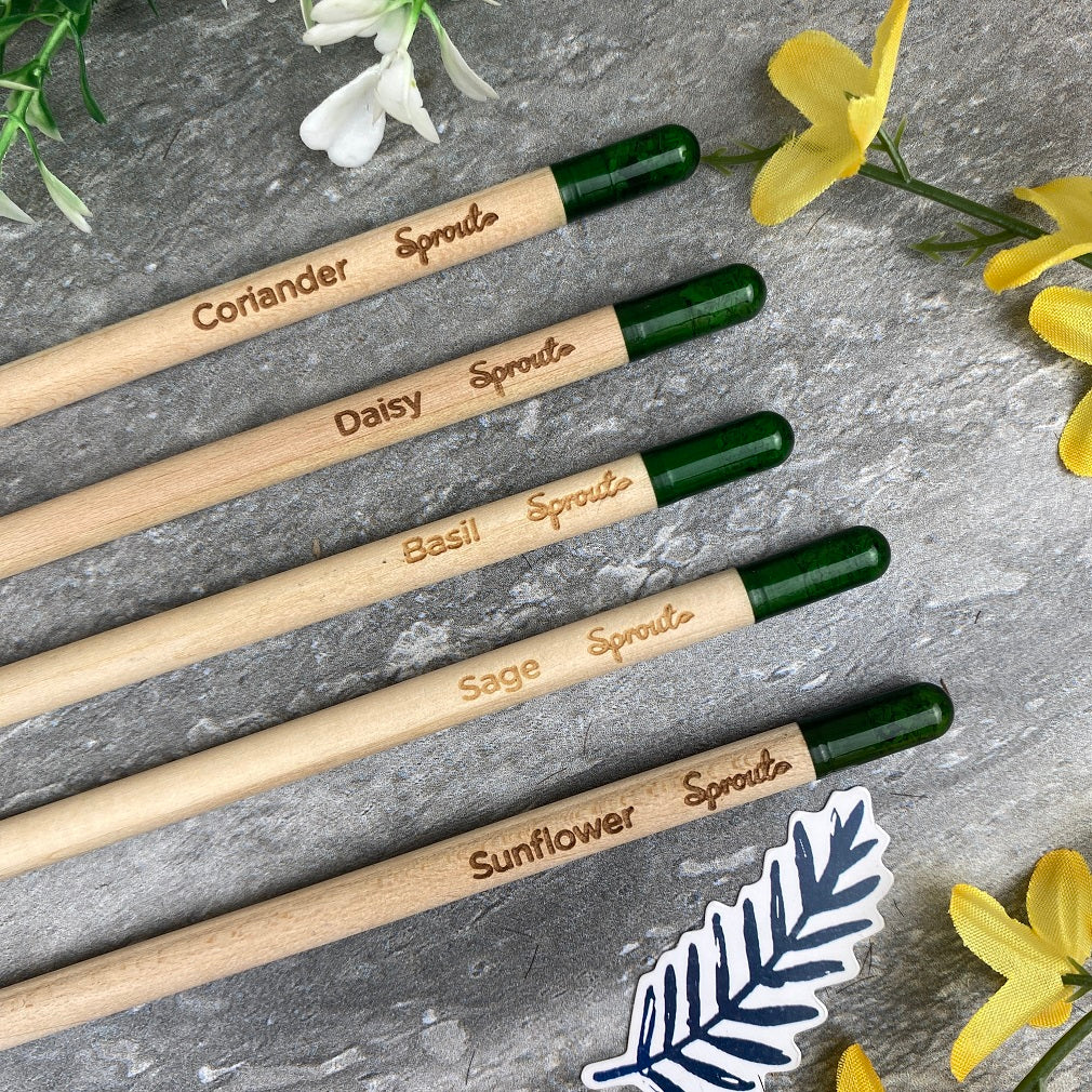 Sprout Pencil - You're Bloomin' Marvellous - Image 6