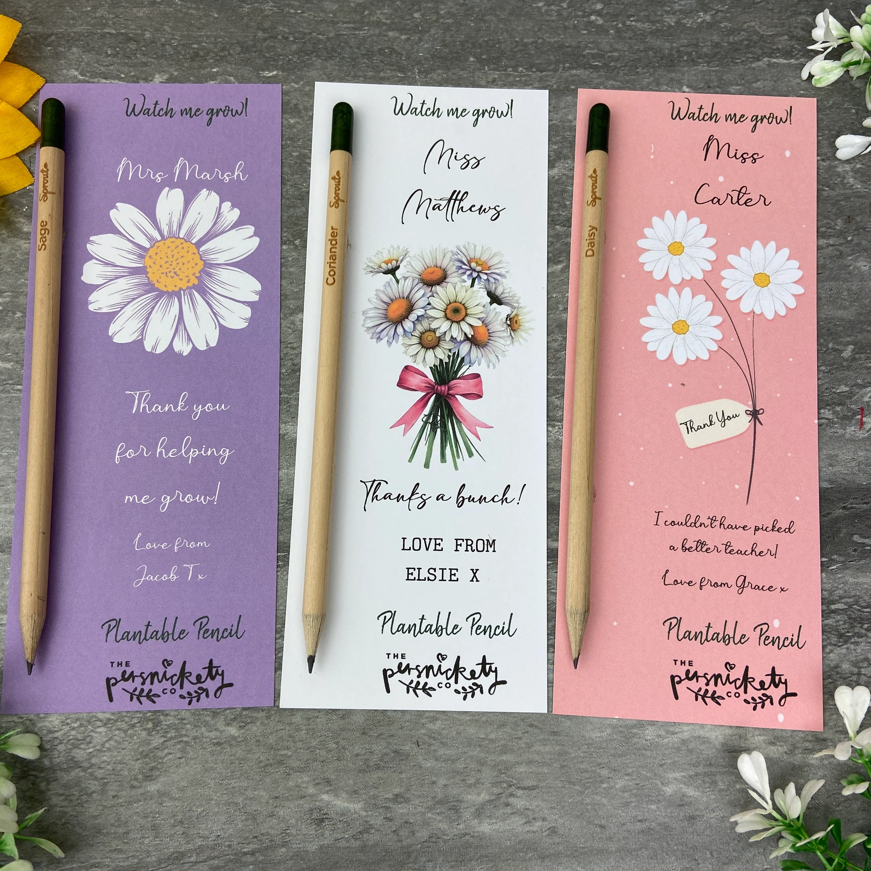£5.00! Special Offer - 2 Plantable 'Sprout' Teacher Pencils