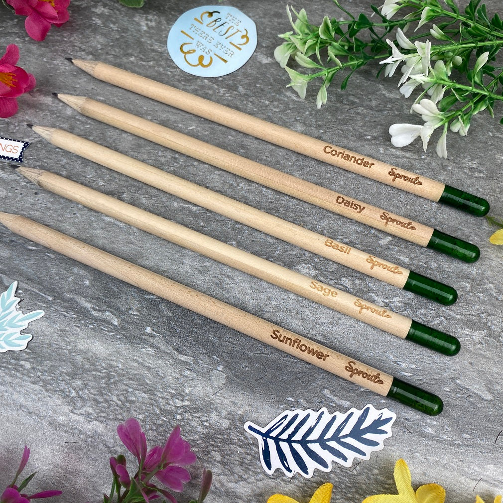 Teacher Gift - Sprout Pencil, Bloomin' Marvellous Teacher - Image 10